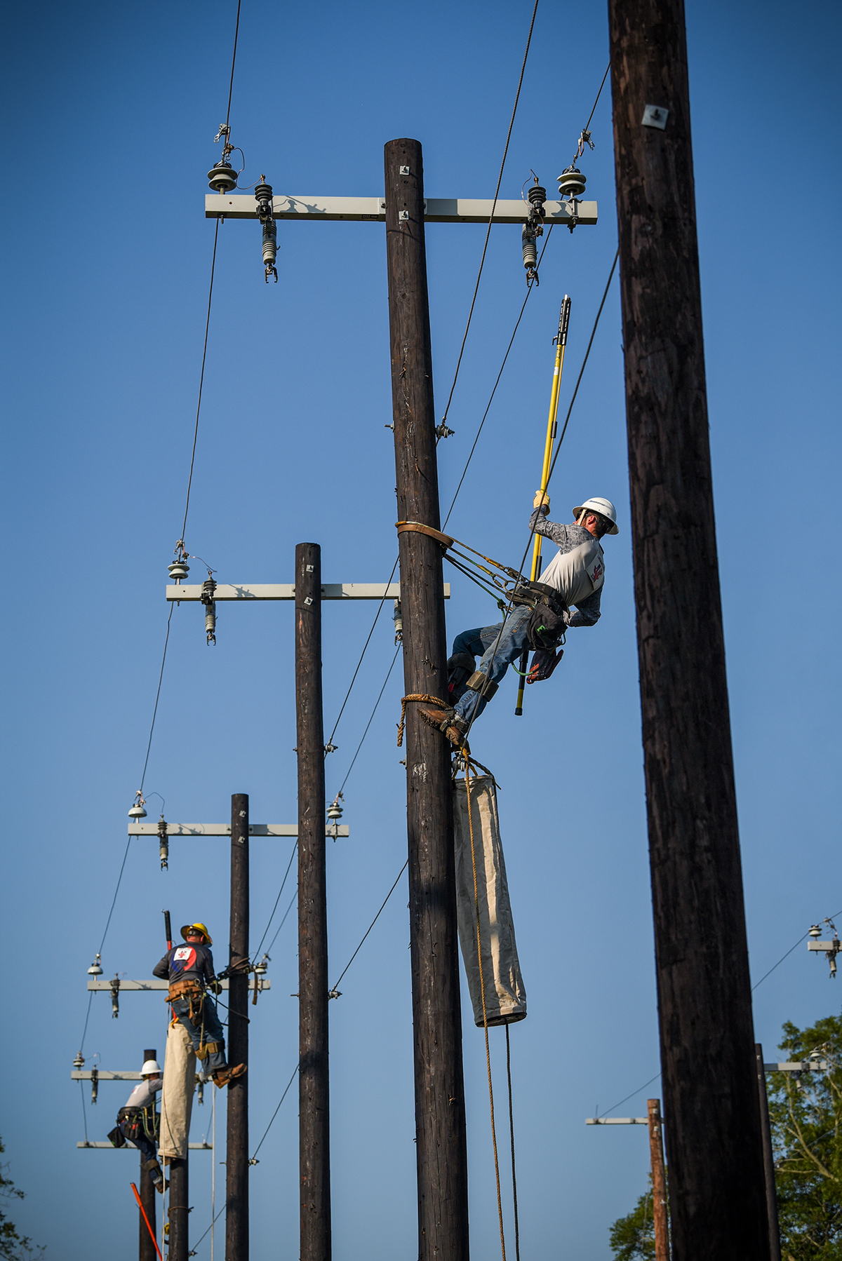 Bluebonnet’s apprentice Reid Hanna from Maxwell competes in the Apprentice Jumper and Clamp Change.