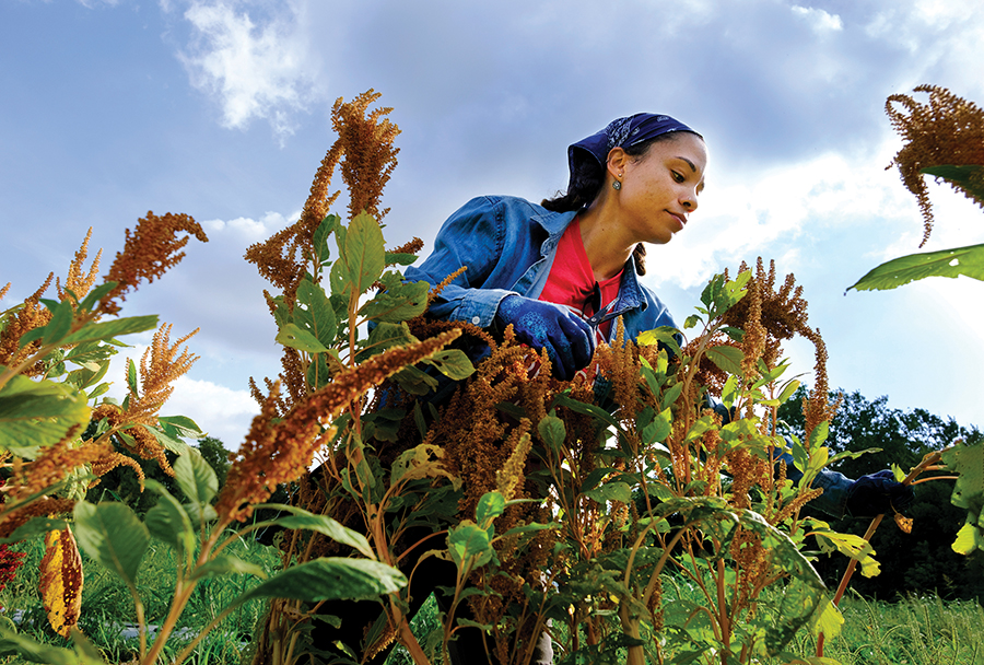 Farmshare