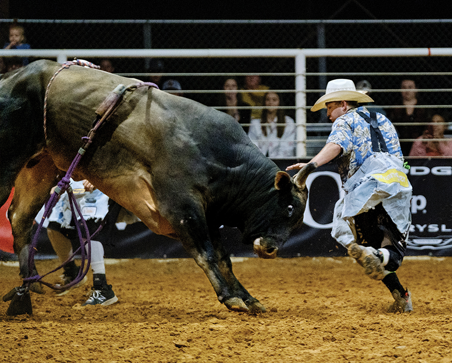 Giddings rodeo